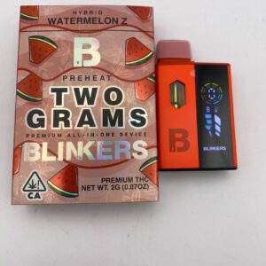 BLINKERS 2G DISPOS